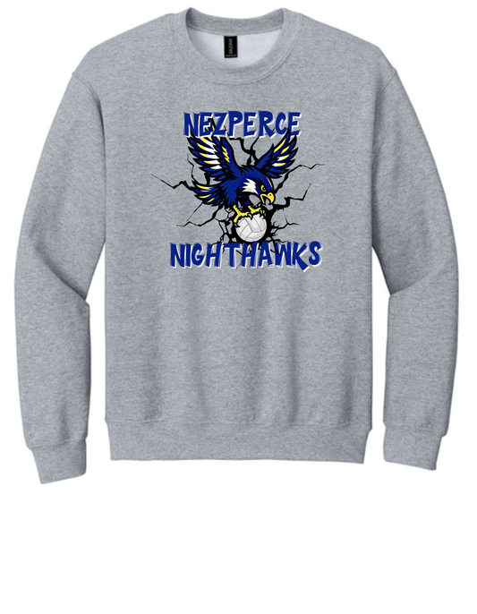 Nighthawk Volleyball W/Bird Crew Neck