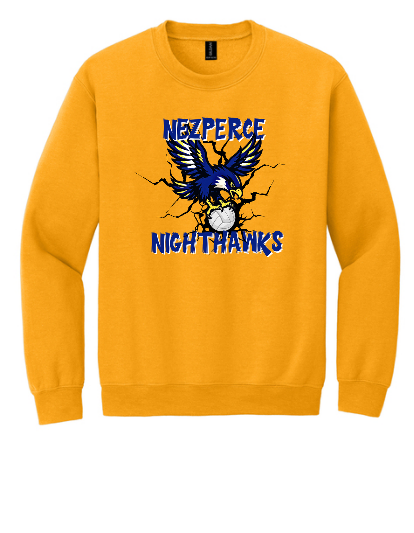 Nighthawk Volleyball W/Bird Crew Neck