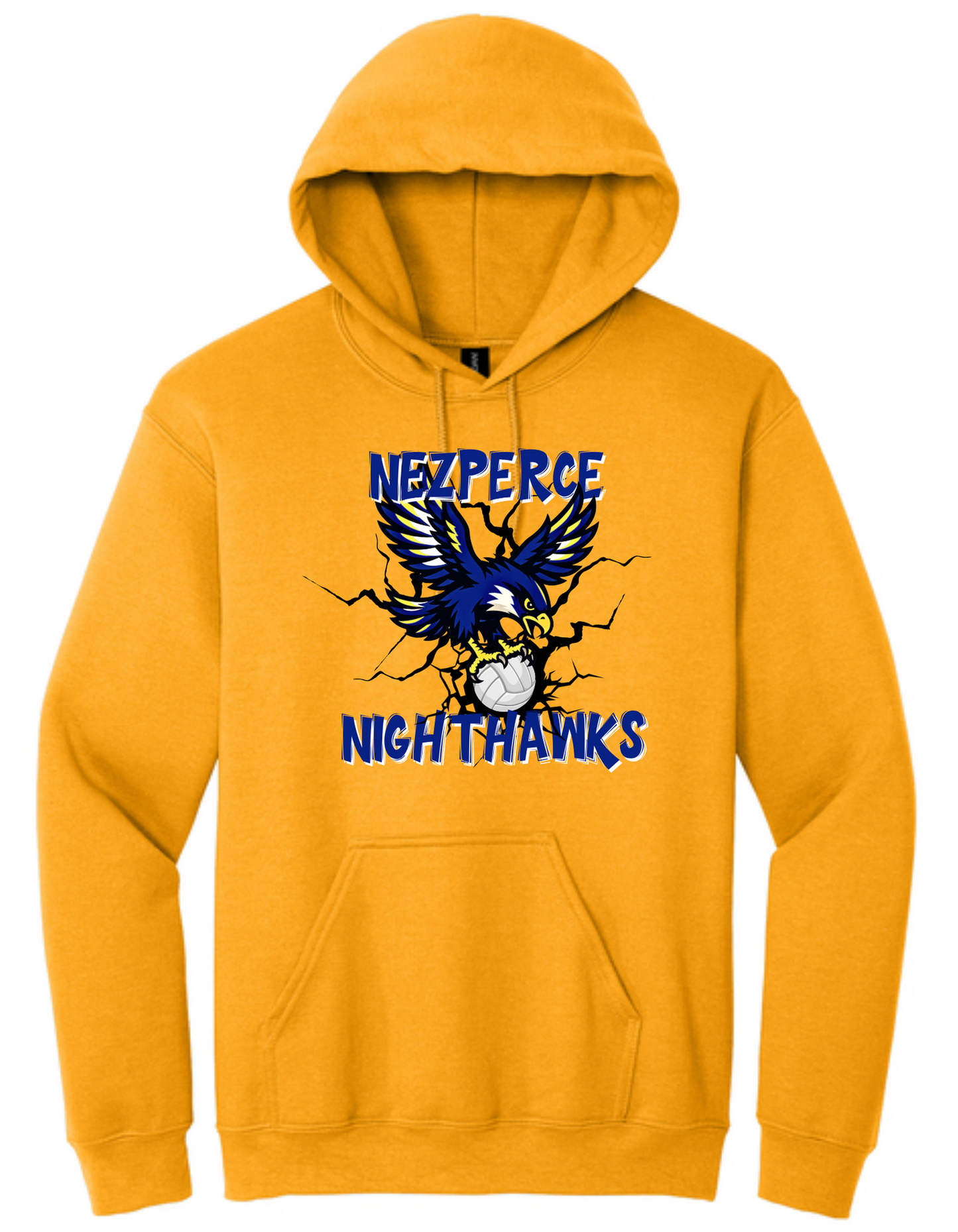 Nighthawk Volleyball W/Bird Hoodie