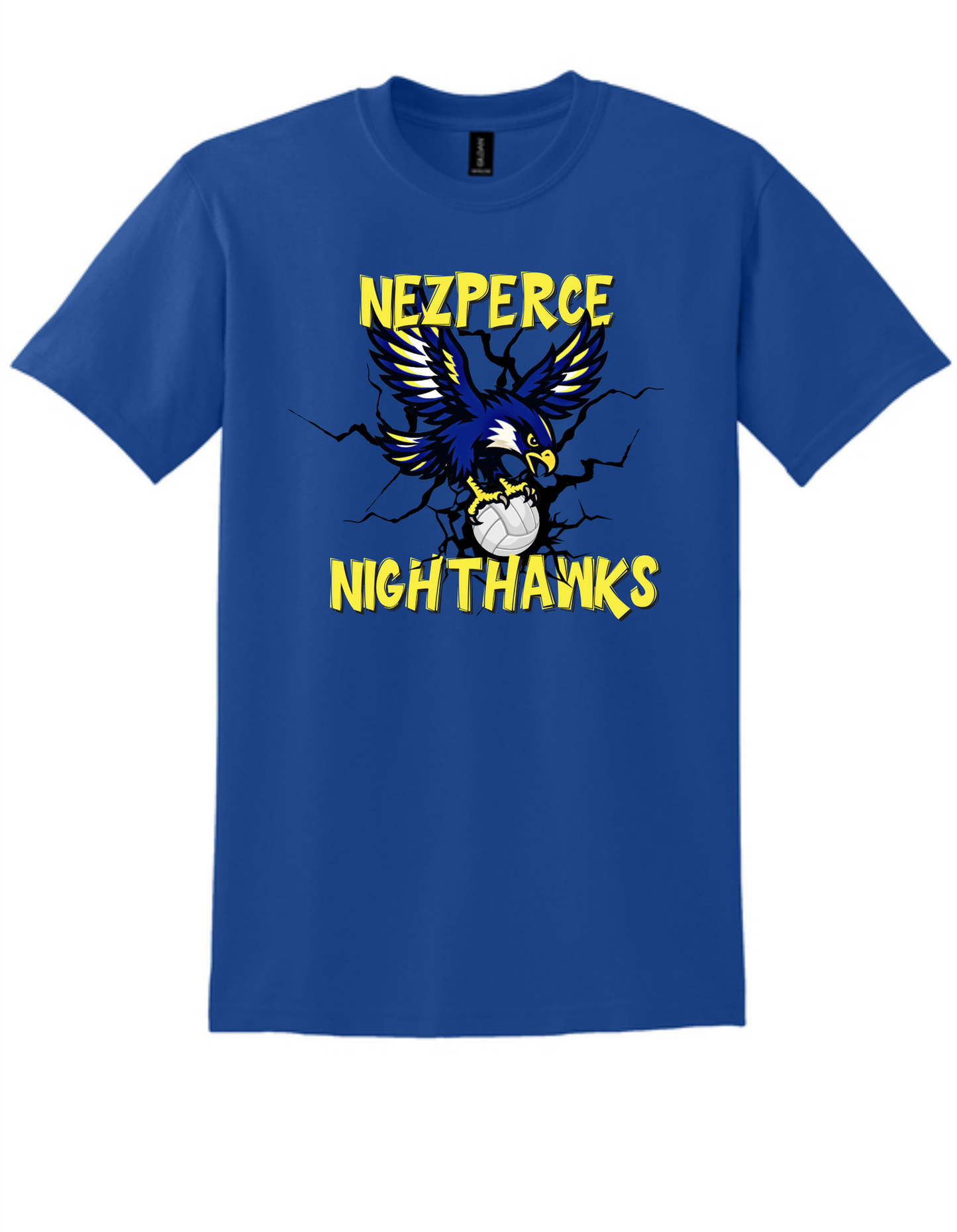 Nighthawk Volleyball W/Bird T-Shirt