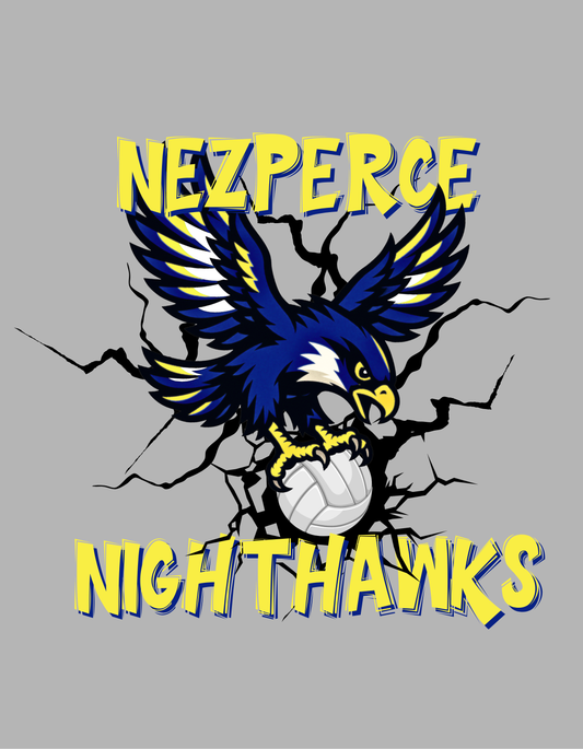 Nighthawks Hooded Sweatshirt Youth