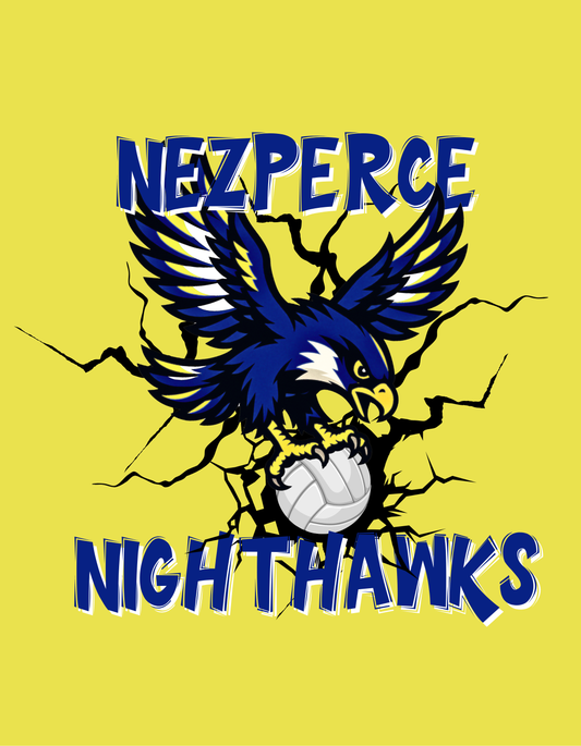 Nighthawks Long Sleeve Sweatshirt Adult